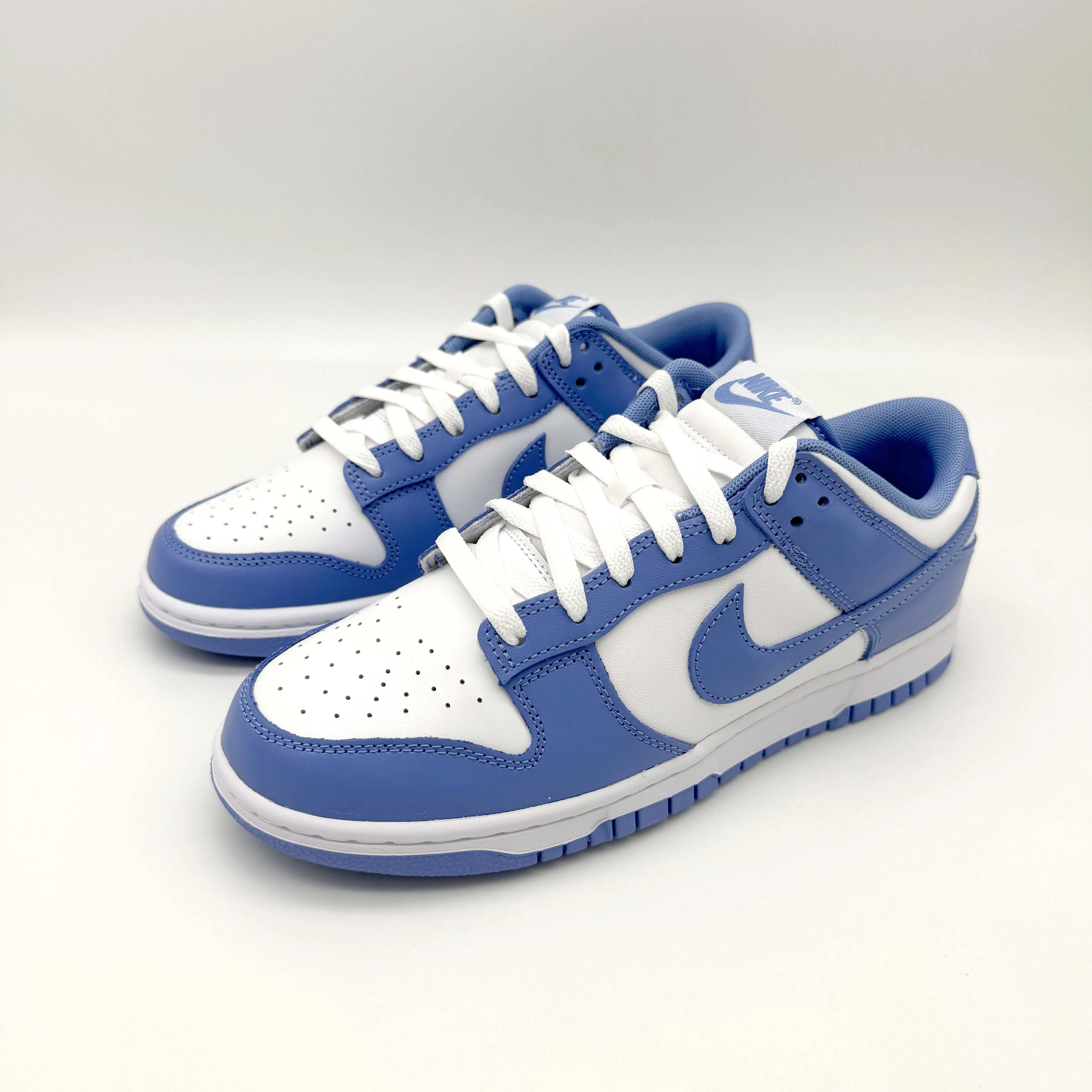 Nike Dunk Low Polar Blue